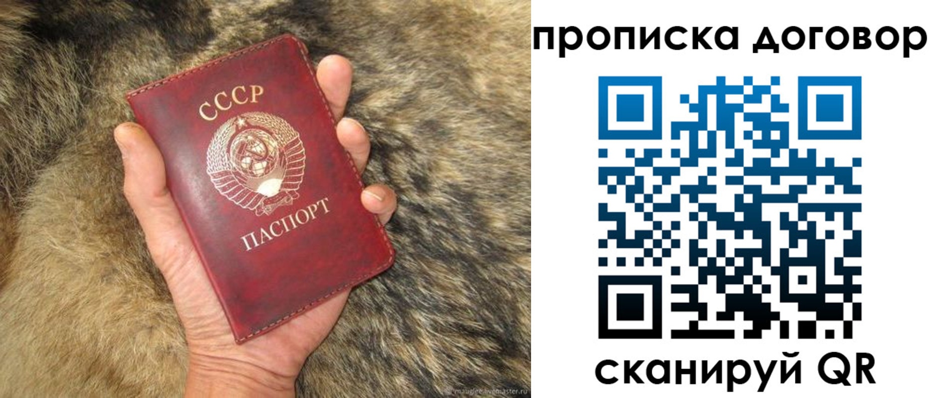 прописка регистрация в Томске